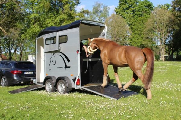 Remolque-para-1-caballo-y-medio-Touring-One-2-800x533-1-600x400-1 Remolque para 1 Caballo y Medio – Touring One - Image 6